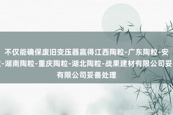 不仅能确保废旧变压器赢得江西陶粒-广东陶粒-安徽陶粒-湖南陶粒-重庆陶粒-湖北陶粒-战果建材有限公司妥善处理